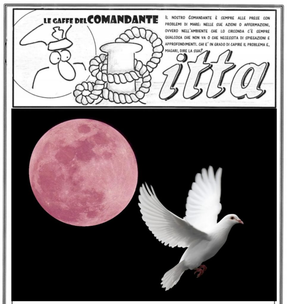 Questa immagine ha l'attributo alt vuoto; il nome del file è luna-rosa-965x1024.jpg