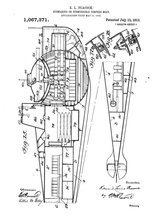 Questa immagine ha l'attributo alt vuoto; il nome del file è peacock-1.jpg