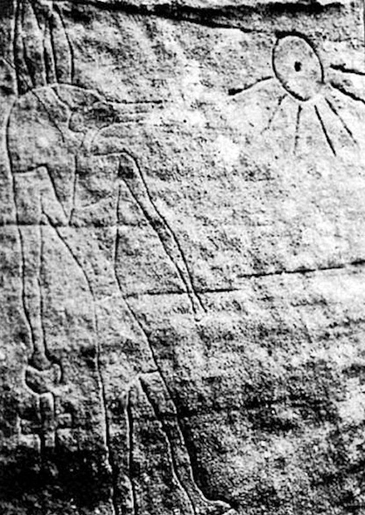 Questa immagine ha l'attributo alt vuoto; il nome del file è australia09_02-726x1024.jpg