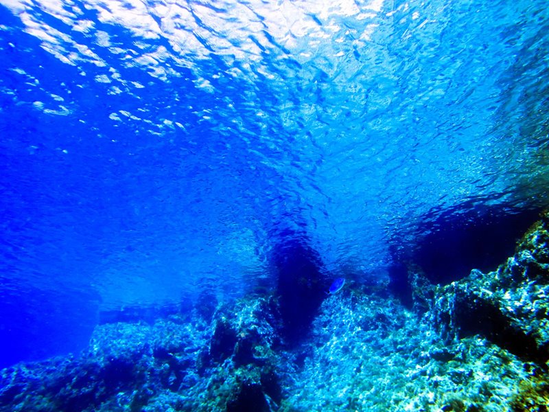 Questa immagine ha l'attributo alt vuoto; il nome del file è 38797489_10216633510101199_8043518445897121792_o1.jpg