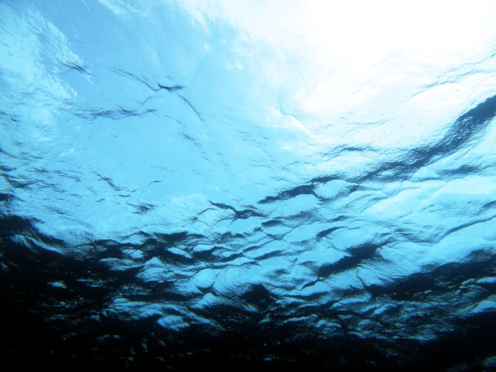 Questa immagine ha l'attributo alt vuoto; il nome del file è nrl-blu-1024x768.jpg