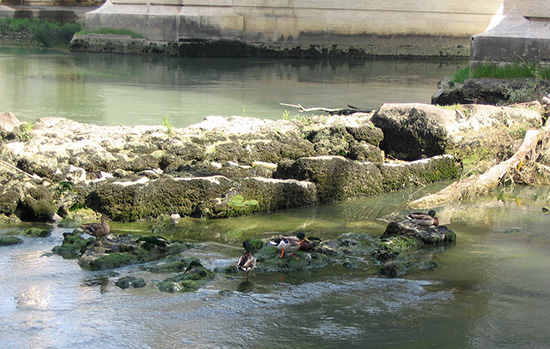 Questa immagine ha l'attributo alt vuoto; il nome del file è ponte-trionfale4.jpg