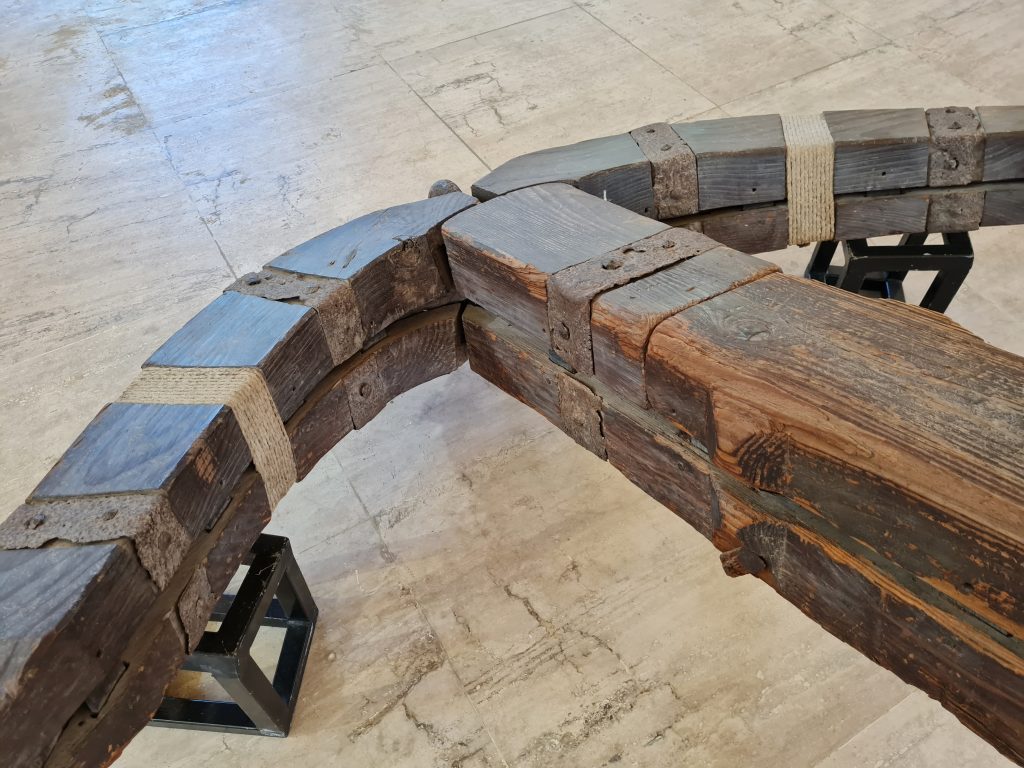 Questa immagine ha l'attributo alt vuoto; il nome del file è 20220823_105116-1024x768.jpg