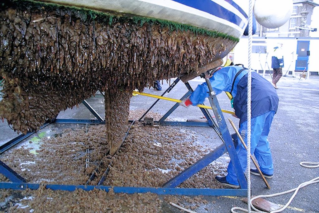 Questa immagine ha l'attributo alt vuoto; il nome del file è pulizia-scafo-fouling-1024x684.jpg