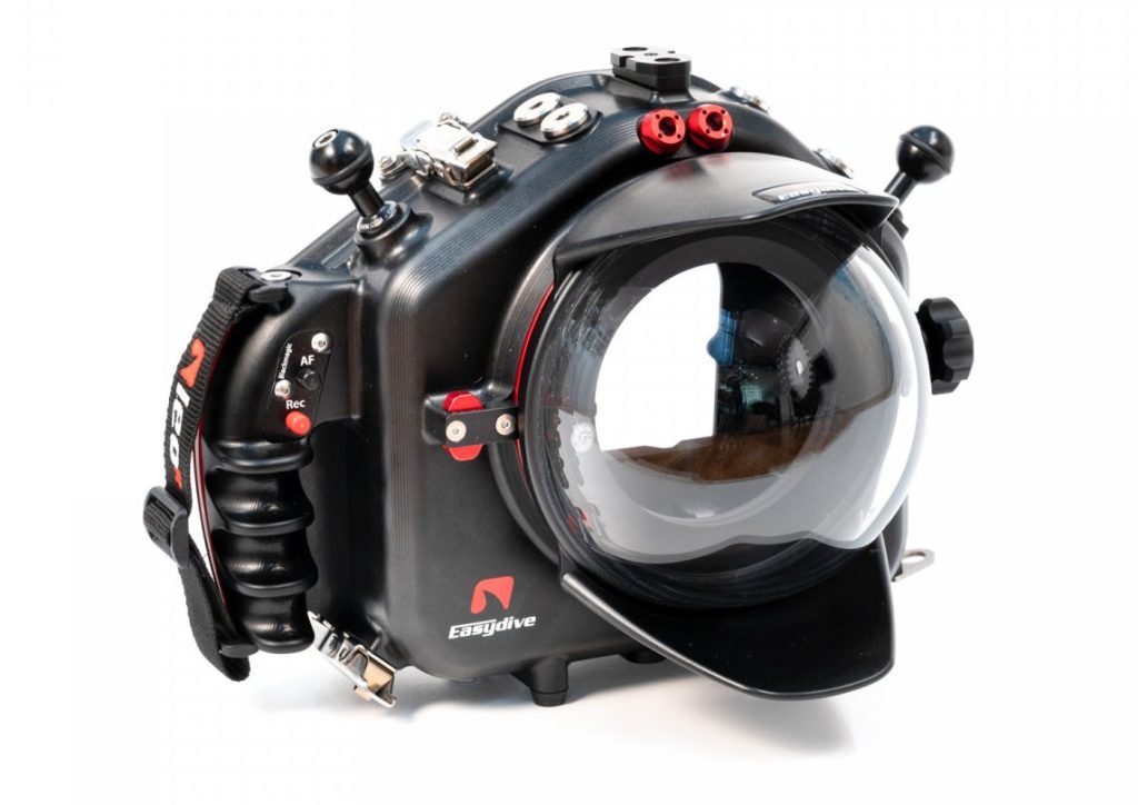 Questa immagine ha l'attributo alt vuoto; il nome del file è LEO-R-1024x724.jpg