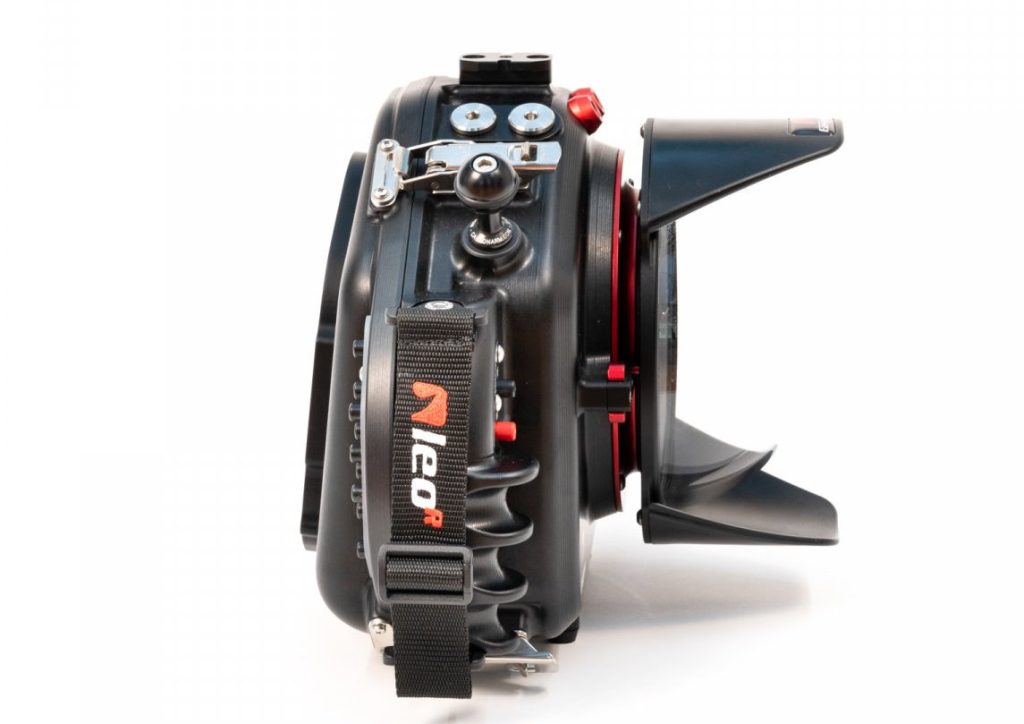 Questa immagine ha l'attributo alt vuoto; il nome del file è LEO-R-5-1-1024x724.jpg