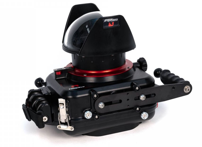 Questa immagine ha l'attributo alt vuoto; il nome del file è leo-3-00-1.jpg