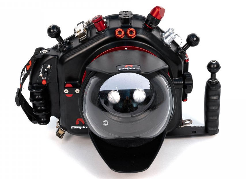 Questa immagine ha l'attributo alt vuoto; il nome del file è leo-oooo-1.jpg