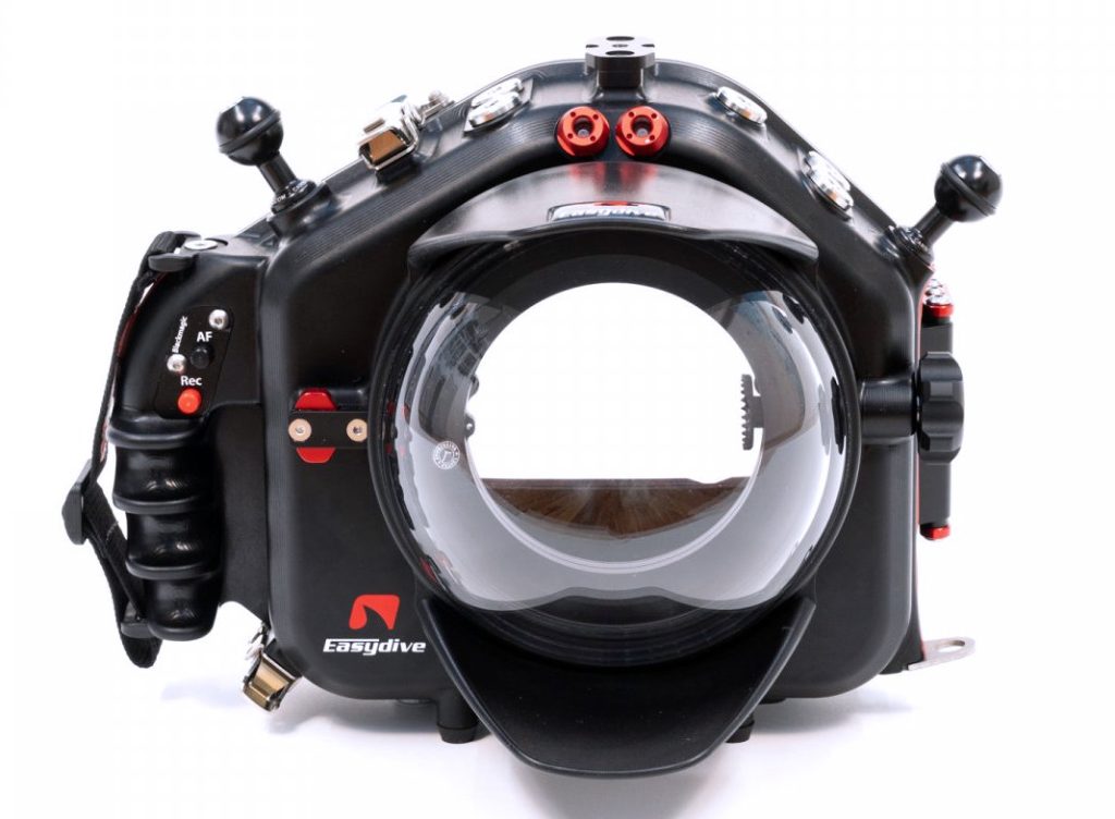 Questa immagine ha l'attributo alt vuoto; il nome del file è leoR-pulsanti-1024x752.jpg