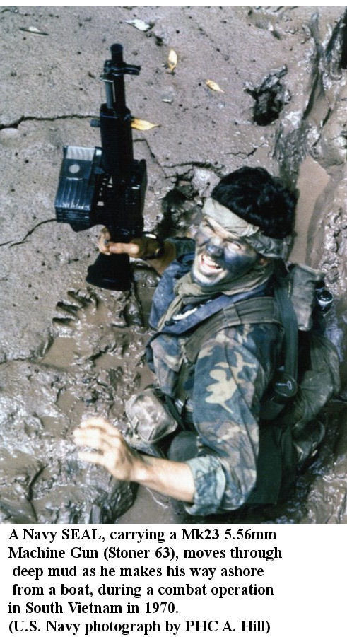 Questa immagine ha l'attributo alt vuoto; il nome del file è seal-vietnam.jpg