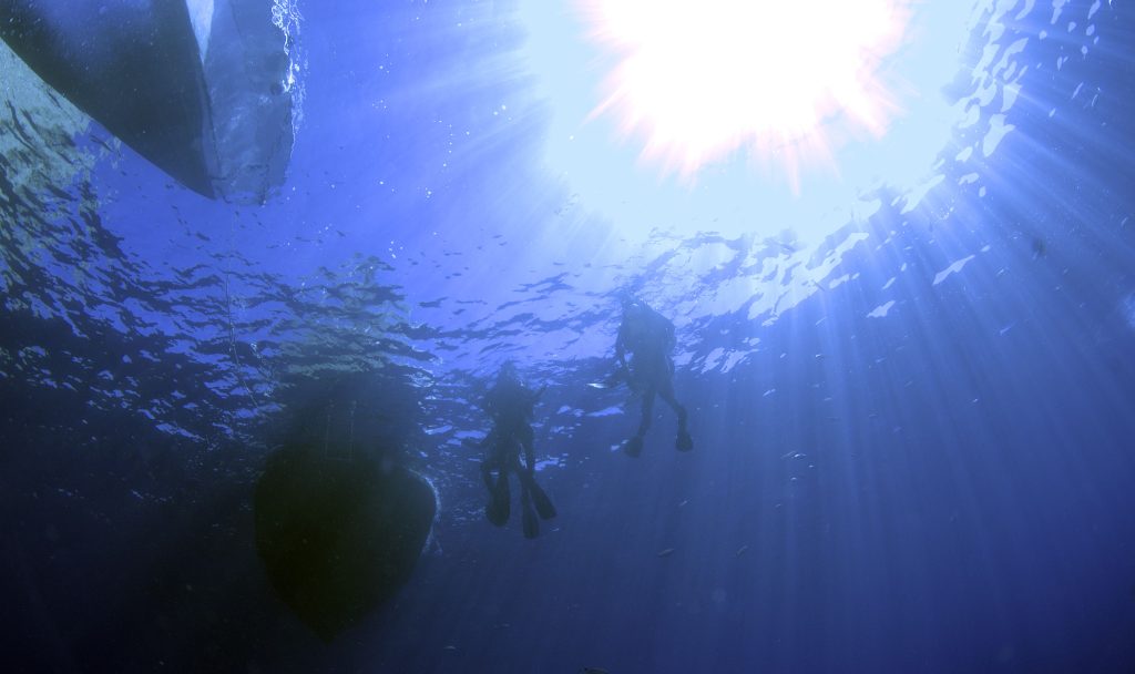 Questa immagine ha l'attributo alt vuoto; il nome del file è from-the-blue-1024x608.jpg