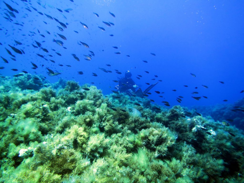 Questa immagine ha l'attributo alt vuoto; il nome del file è il-sognatore-1024x768.jpg