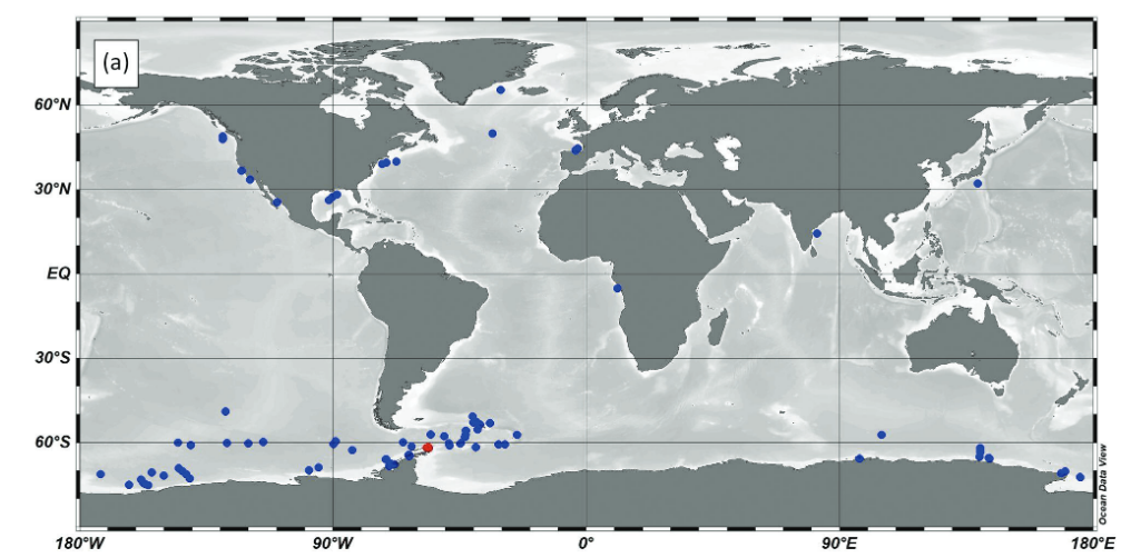 Questa immagine ha l'attributo alt vuoto; il nome del file è presenza-meduse-giganti-moore.png