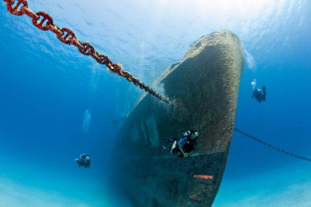 Questa immagine ha l'attributo alt vuoto; il nome del file è 1.Madeira-diving-1024x683-1.jpg