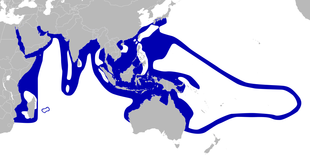 Questa immagine ha l'attributo alt vuoto; il nome del file è Amphiprioninae_distribution_map-blank.svg-wikipedia-1024x512.png