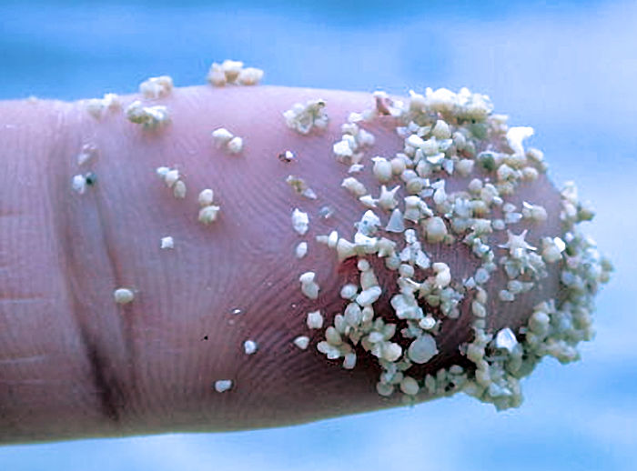 Questa immagine ha l'attributo alt vuoto; il nome del file è GEOLOGIA-SABBIA-2-640px-Star_sand_Iriomote.jpg