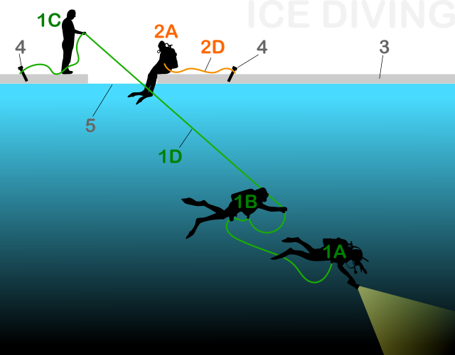 Questa immagine ha l'attributo alt vuoto; il nome del file è Ice_diving_4team-p.svg-wikimedia.png