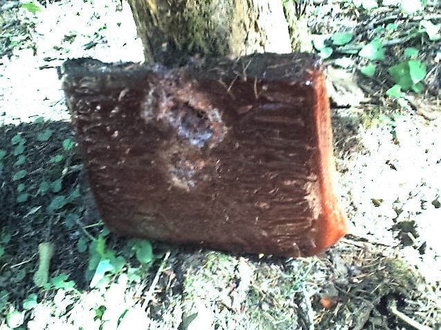 Questa immagine ha l'attributo alt vuoto; il nome del file è STORIA-NAVALE-UK-Block_of_pykrete.jpg