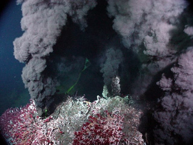 Questa immagine ha l'attributo alt vuoto; il nome del file è GEOLOGIA-OCEANOGRAFIA-FONTI-IDROTERMALI-640px-Sully_Main_Endeavor_Field.jpg