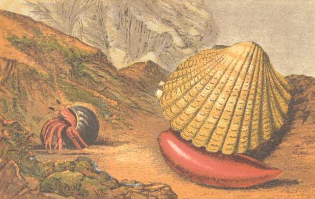 Questa immagine ha l'attributo alt vuoto; il nome del file è GLAUCUS-GUTEMBERG-PROJECT-1.jpg