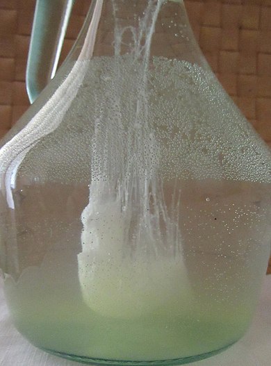 Questa immagine ha l'attributo alt vuoto; il nome del file è METEO-390px-Barca_s_pietro_2020_01.jpeg