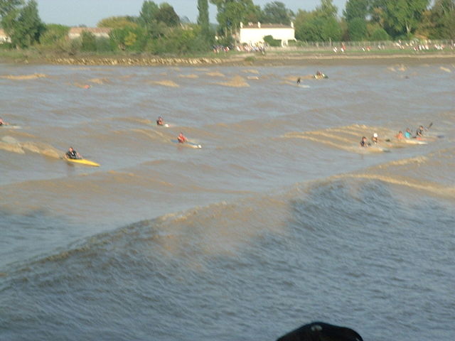 Questa immagine ha l'attributo alt vuoto; il nome del file è METEO-MASCARET-640px-Kayaks_et_mascaret_de_la_Dordogne_a_Saint-Pardon_Vayres_France.jpeg
