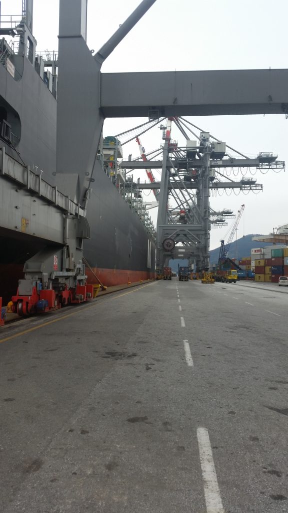 Questa immagine ha l'attributo alt vuoto; il nome del file è 20150207_105919-576x1024.jpg