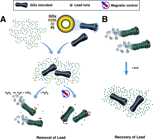 Questa immagine ha l'attributo alt vuoto; il nome del file è AMBIENTE-INQUINAMENTO-NANOBOT-images_medium_nl-2016-00768r_0001.gif