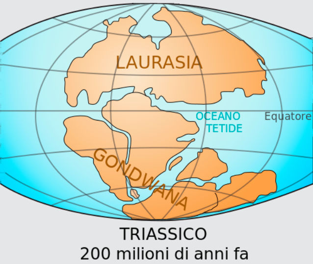 Questa immagine ha l'attributo alt vuoto; il nome del file è GEOLOGIA-TRIASSICO-.jpg