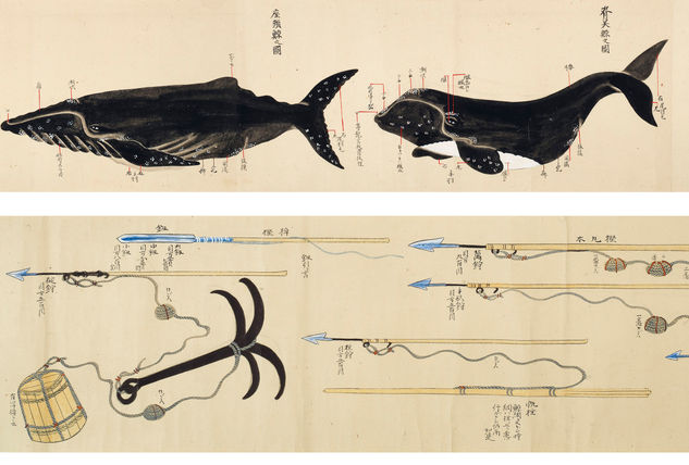Questa immagine ha l'attributo alt vuoto; il nome del file è GIAPPONE-BALENE-1-Kujirakata-Shosha-Zue-Genuine-illustrations-of-Taiji-Whaling-Techniques-1857.jpg