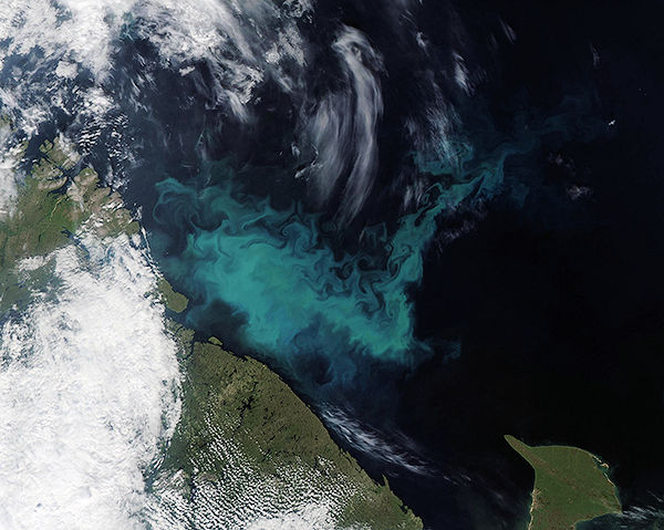 Questa immagine ha l'attributo alt vuoto; il nome del file è NASA-MODIS-AQUA-BARENTS-image07172023_main.jpg