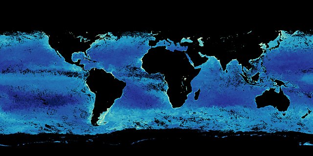 Questa immagine ha l'attributo alt vuoto; il nome del file è NATO-PHITOPLANCTON-640px-Phytoplankton_world_view_from_MODIS_2013.jpg
