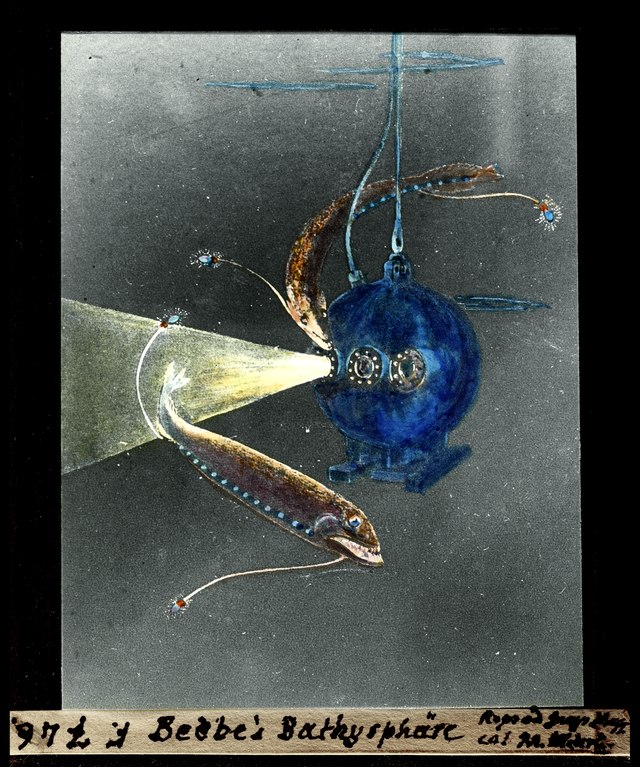 Questa immagine ha l'attributo alt vuoto; il nome del file è OCEANOGRAFIA-BEEBE-BATISCAFO-lossy-page1-640px-ETH-BIB-Beebes_Bathysphare-Dia_247-F-00746.jpg