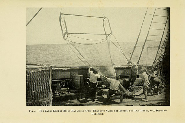 Questa immagine ha l'attributo alt vuoto; il nome del file è PERSONAGGI-BEEBE-The_Arcturus_adventure_Fig._5_BHL4686398.jpg