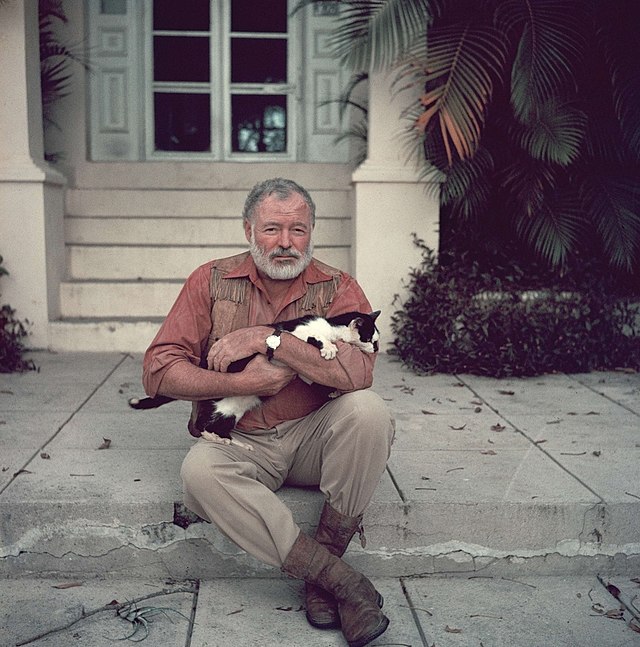Questa immagine ha l'attributo alt vuoto; il nome del file è PERSONAGGI-HEMINGWAY-640px-Ernest-Hemingway-with-cat-1954.jpg
