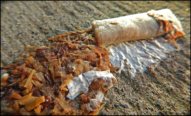 Questa immagine ha l'attributo alt vuoto; il nome del file è AMBIENTE-SIGARETTE-PLASTICA-Cigarette_butt_on_wet_sidewalk_after_heavy_rain_Megot_03.jpg
