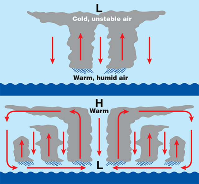 Questa immagine ha l'attributo alt vuoto; il nome del file è METEO-FORMAZIONE-URAGANI-Hurricane_diagram_thumb.png