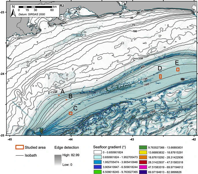 Questa immagine ha l'attributo alt vuoto; il nome del file è Underwater-surveys-reveal-deep-sea-corals-43247_2023_924_Fig8_HTML.jpg