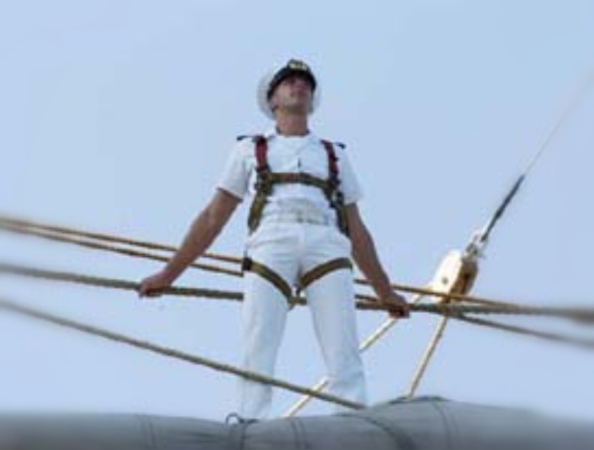 Questa immagine ha l'attributo alt vuoto; il nome del file è passerino.jpg