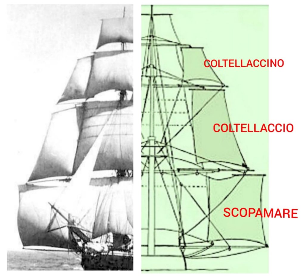 Questa immagine ha l'attributo alt vuoto; il nome del file è scopamare-2-1024x927.jpg