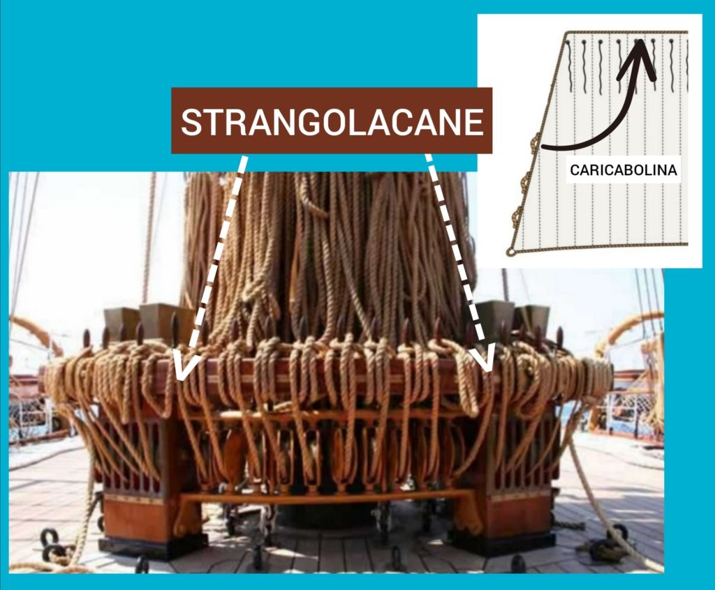 Questa immagine ha l'attributo alt vuoto; il nome del file è strangolacane-1024x846.jpg