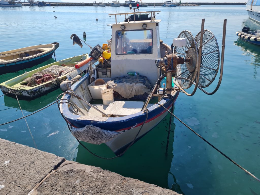 Questa immagine ha l'attributo alt vuoto; il nome del file è 20230908_102344-1024x768.jpg