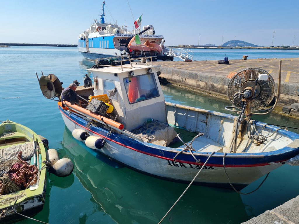 Questa immagine ha l'attributo alt vuoto; il nome del file è 20230908_102353-1024x768.jpg