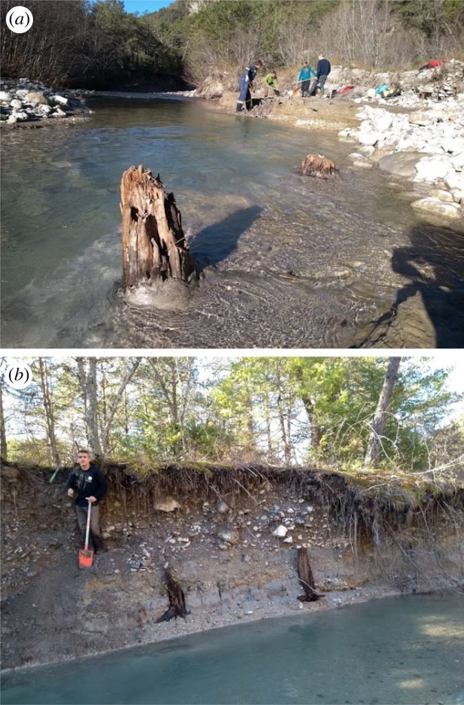 Questa immagine ha l'attributo alt vuoto; il nome del file è GEOLOGIA-ALBERI-FOSSILI-rsta20220206f02-675x1024.jpg