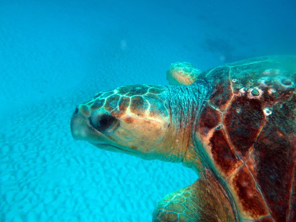 Questa immagine ha l'attributo alt vuoto; il nome del file è IMG_3265m-1024x768.jpg