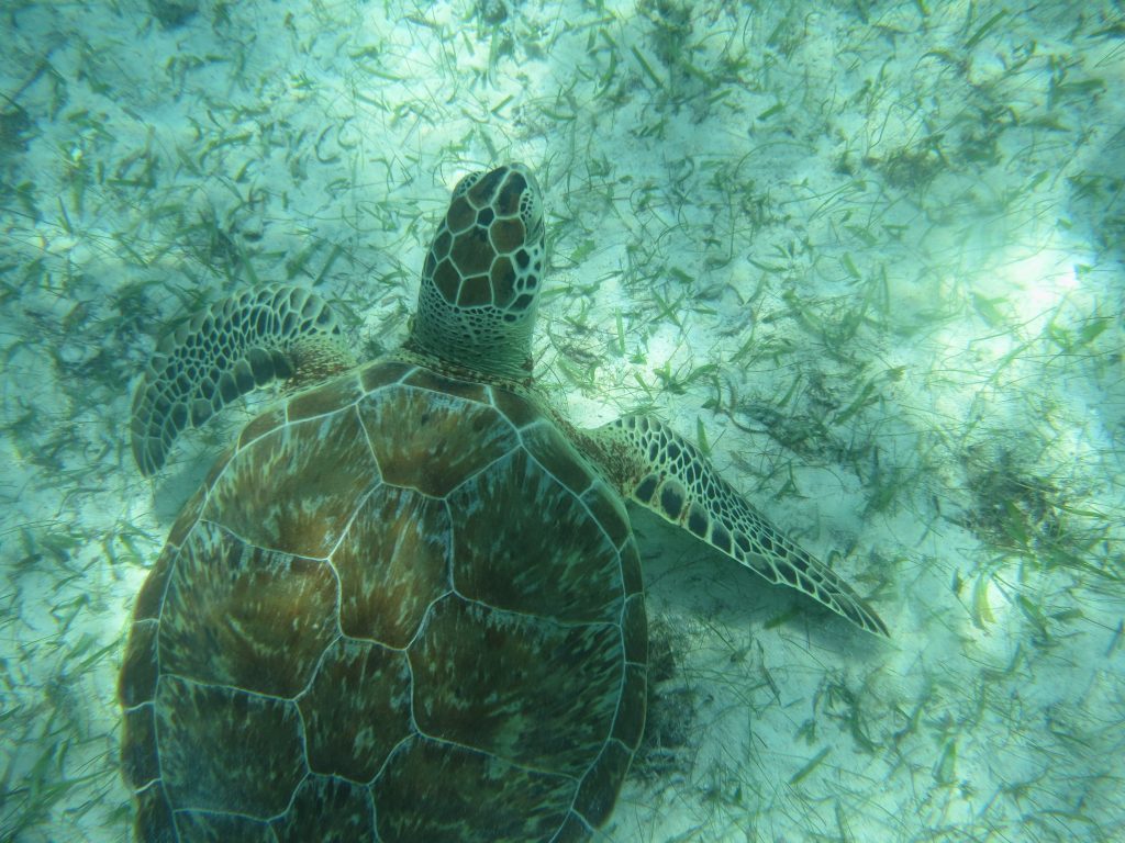 Questa immagine ha l'attributo alt vuoto; il nome del file è IMG_3491-1024x768.jpg