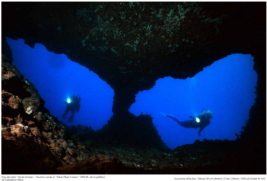 Questa immagine ha l'attributo alt vuoto; il nome del file è SETTIMIO-CIPRIANI-Screenshot-2023-10-13-101816-1-1024x697.png