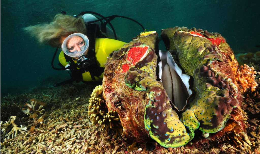 Questa immagine ha l'attributo alt vuoto; il nome del file è SETTIMIO-Screenshot-2023-10-13-102327-1024x610.png