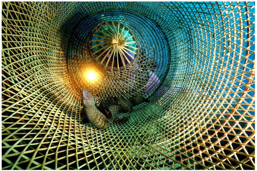 Questa immagine ha l'attributo alt vuoto; il nome del file è Screenshot-2023-10-13-101907-1024x683.png