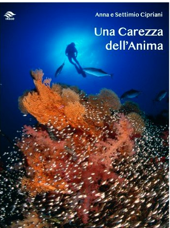 Questa immagine ha l'attributo alt vuoto; il nome del file è Screenshot-2023-10-13-102730.png